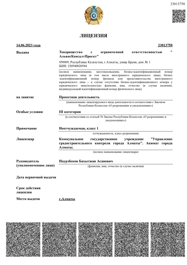 Проектная лицензия АльянсКонсалтПроект_page-0001